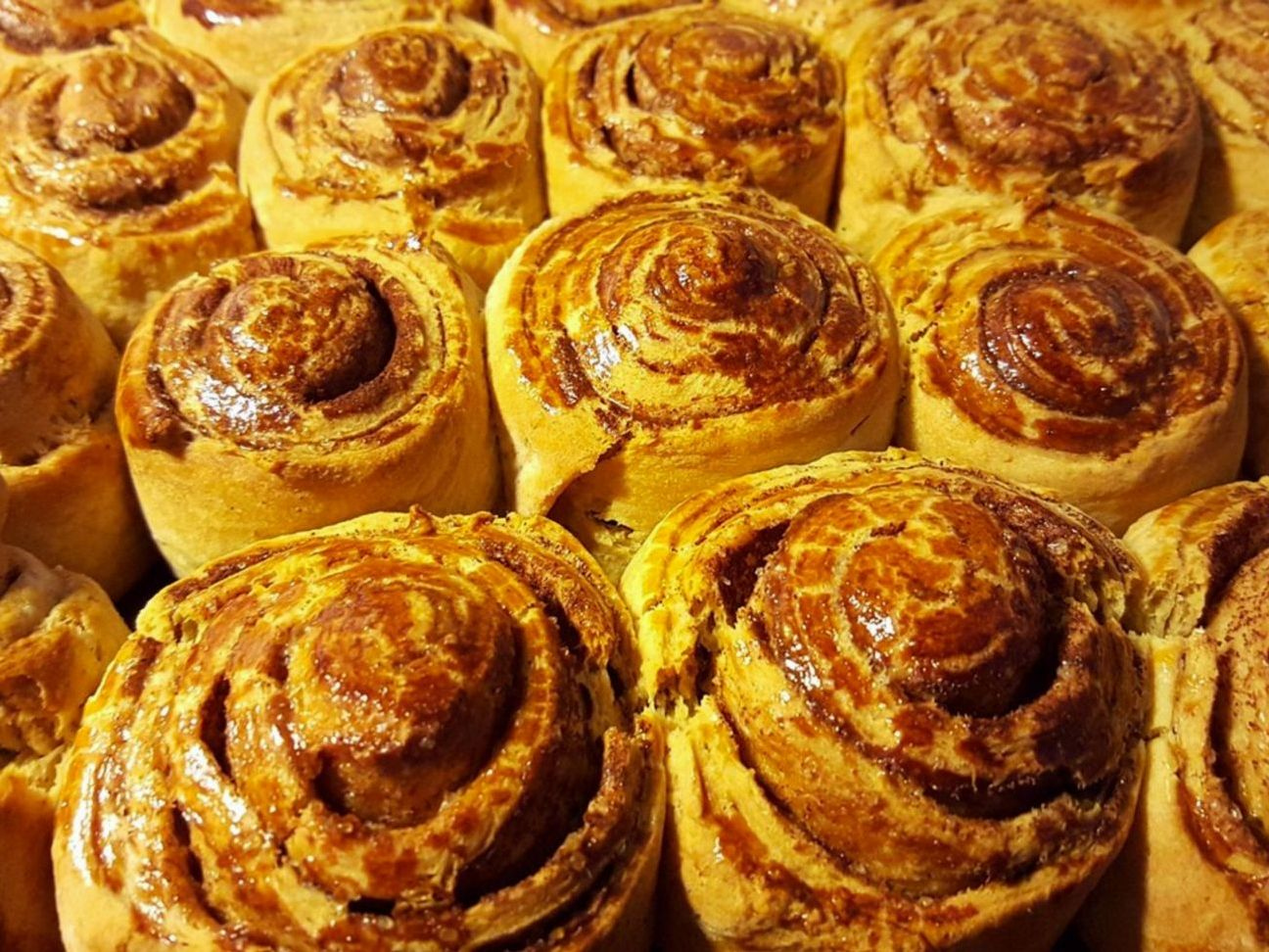 Baking Basics 101