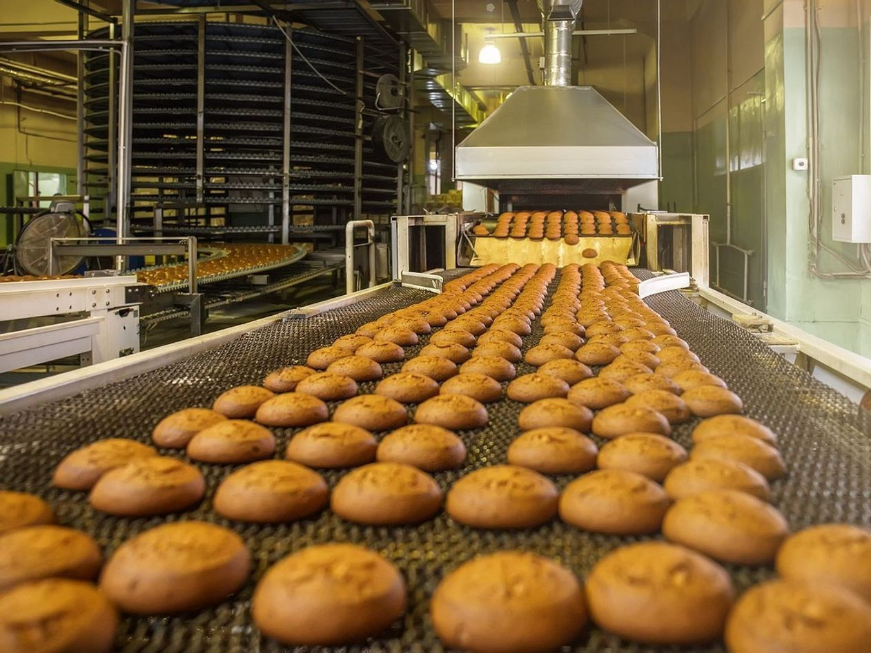 Éclair Shells Piped